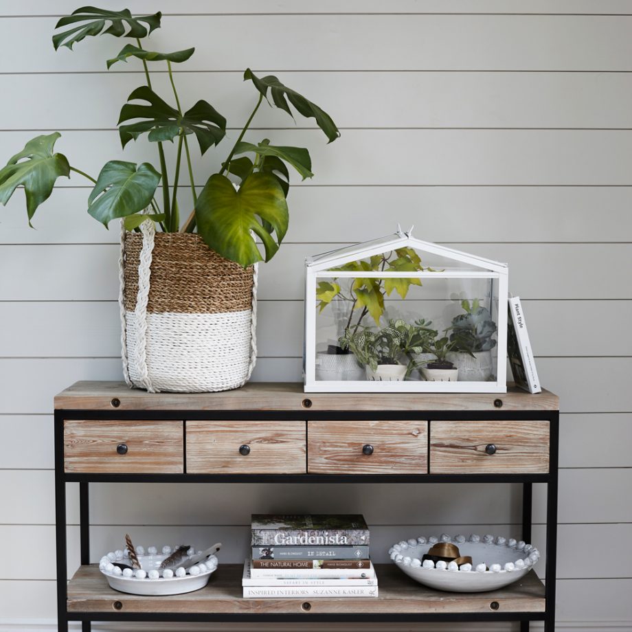 Ideal-Home-plants-920×920